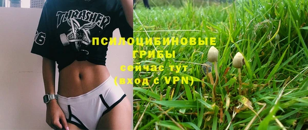 ALPHA-PVP Снежинск